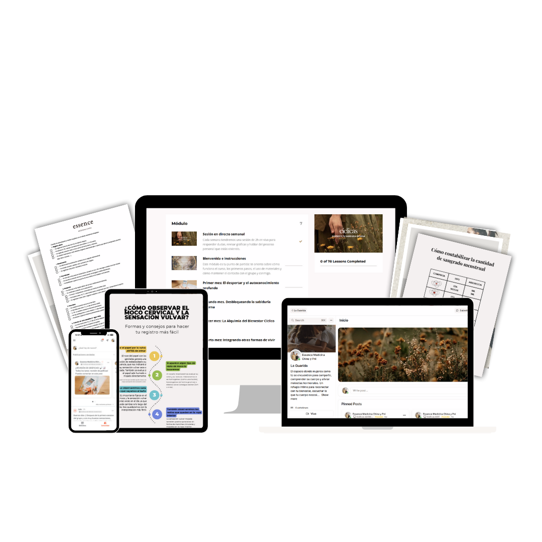 Mockup del programa Cíclicas